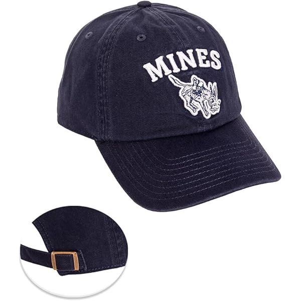 Amazon.com: Desert Cactus Colorado School of Mines Baseball Hat